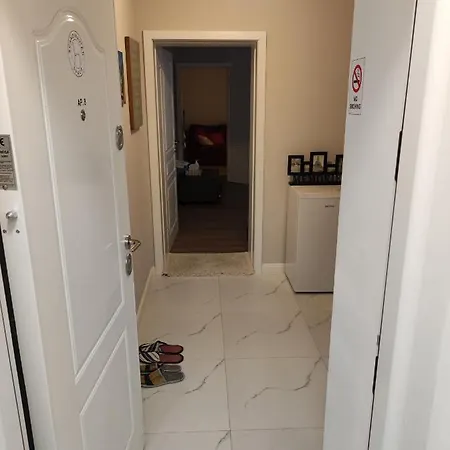 Scandinavian In Center Apartment